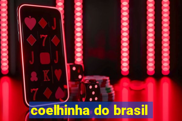 coelhinha do brasil